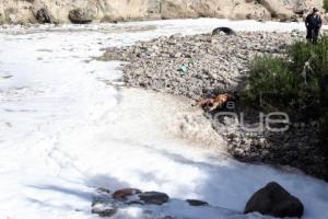 MUERTA EN EL RÍO ALSESECA