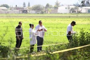 EJECUTADO EN TEHUACÁN