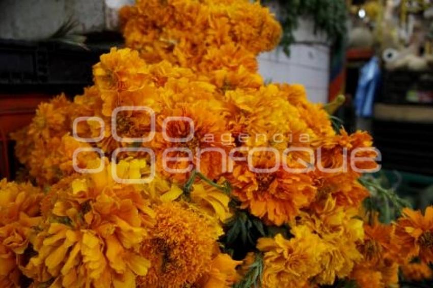 VENTA FLOR DE MUERTO 