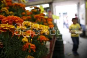 VENTA FLOR DE MUERTO 