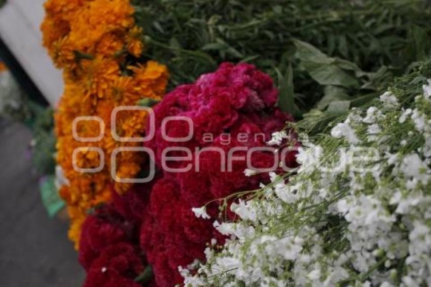 VENTA FLOR DE MUERTO 