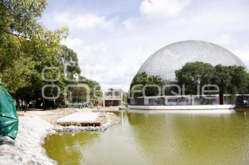 ÁRBOL ARTIFICIAL . PARQUE ECOLÓGICO 