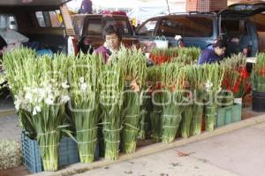 VENTA FLOR DE MUERTO