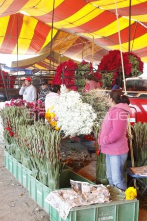 VENTA FLOR DE MUERTO