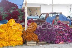 VENTA FLOR DE MUERTO