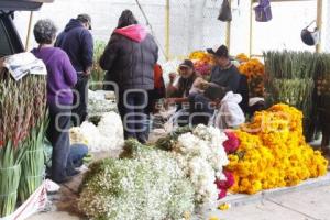 VENTA FLOR DE MUERTO