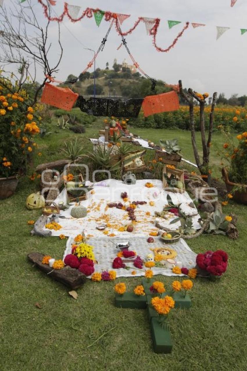 DÍA DE MUERTOS . OFRENDAS