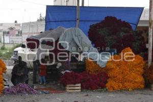 VENTA FLOR DE MUERTO