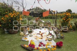 DÍA DE MUERTOS . OFRENDAS