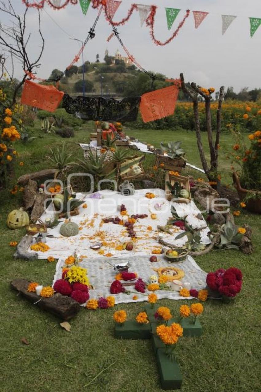 DÍA DE MUERTOS . OFRENDAS