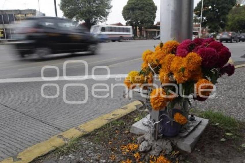 DÍA DE LOS ACCIDENTADOS