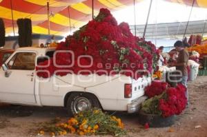 VENTA FLOR DE MUERTO