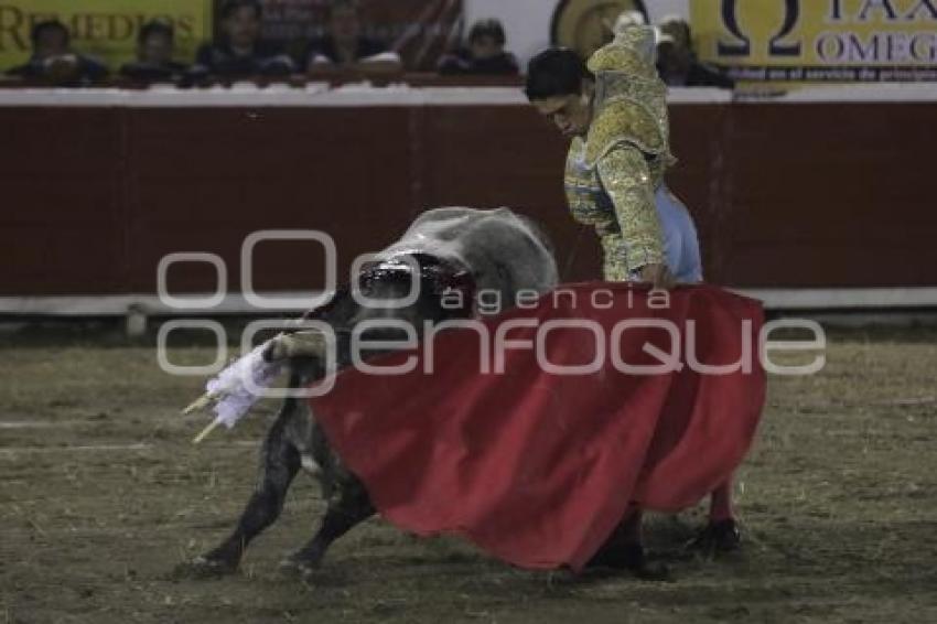 TOROS. SERGIO FLORES