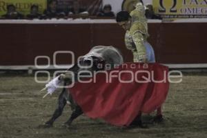 TOROS. SERGIO FLORES