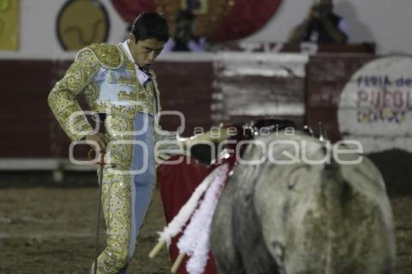 TOROS. SERGIO FLORES