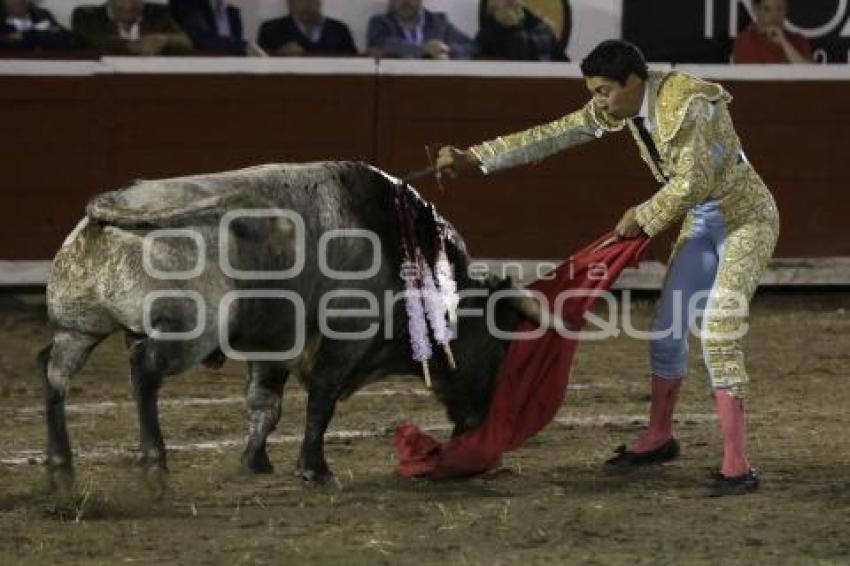 TOROS. SERGIO FLORES