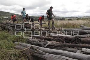 RETO COMANDER . AFRICAM SAFARI