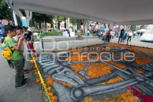 IMACP . ALFOMBRA DÍA DE MUERTOS