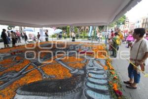 IMACP . ALFOMBRA DÍA DE MUERTOS