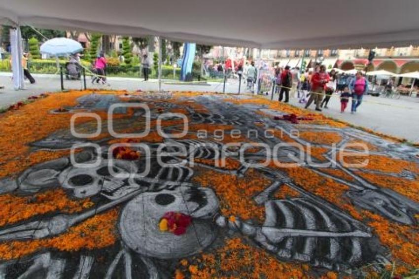 IMACP . ALFOMBRA DÍA DE MUERTOS