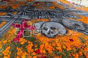 IMACP . ALFOMBRA DÍA DE MUERTOS