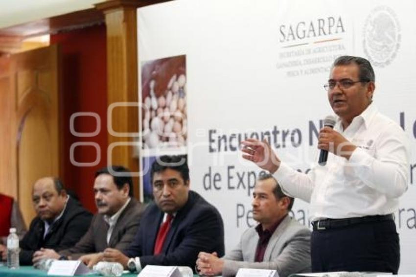 ENCUENTRO FAMILIAR, PERIURBANA Y TRASPATIO