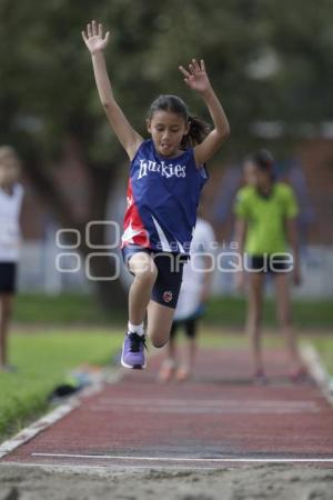 FESTIVAL DE ATLETISMO