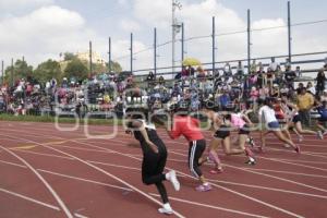 FESTIVAL DE ATLETISMO