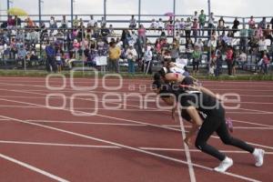 FESTIVAL DE ATLETISMO