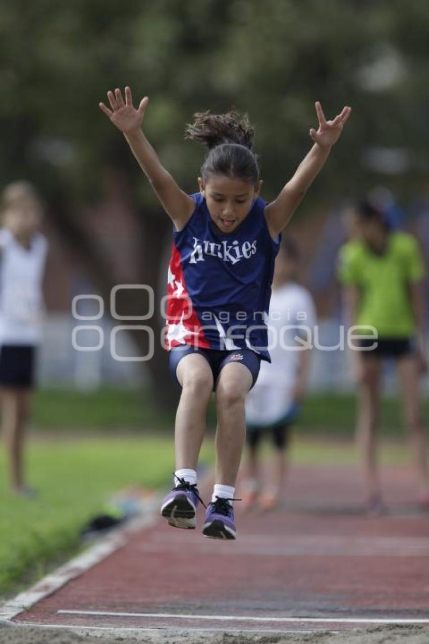 FESTIVAL DE ATLETISMO