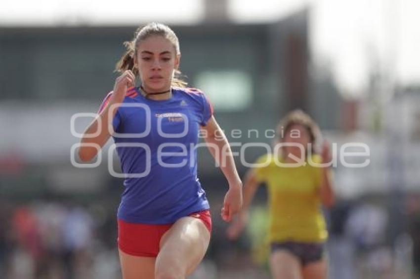 FESTIVAL DE ATLETISMO