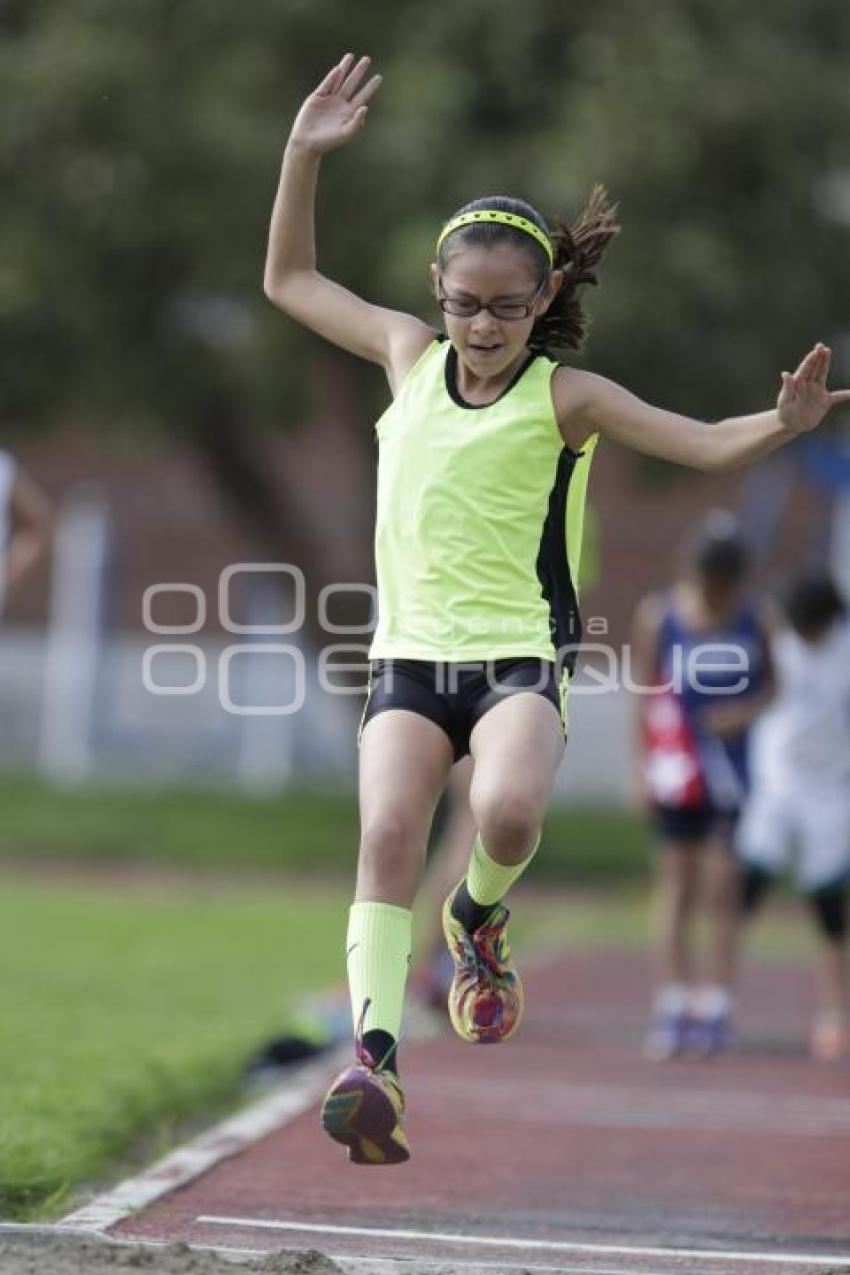 FESTIVAL DE ATLETISMO