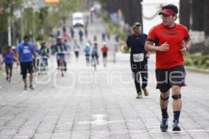 CARRERA CÁMARA DE COMERCIO