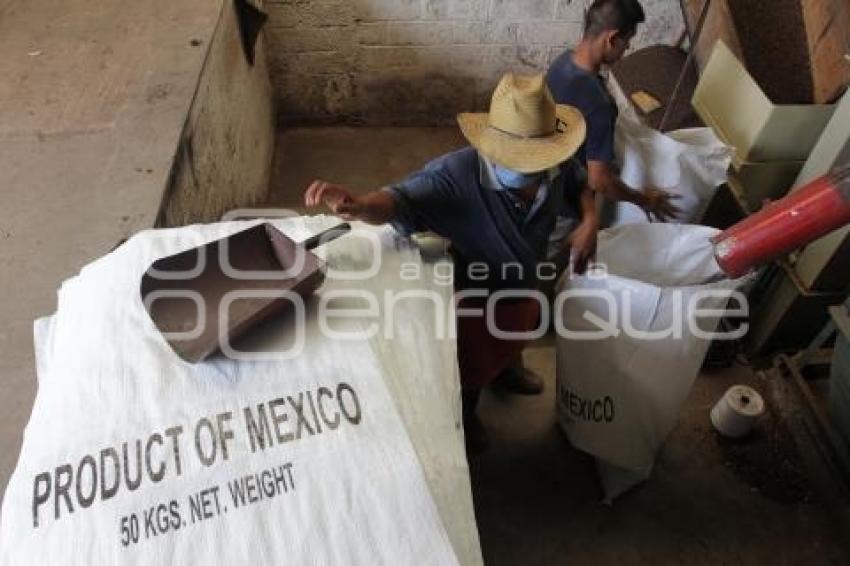 CUETZALAN . CAFÉ