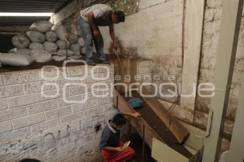 CUETZALAN . CAFÉ