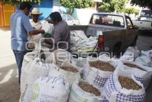 COMERCIALIZACIÓN DE CACAHUATE . ACATLÁN DE OSORIO