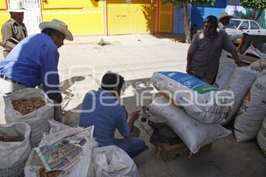 COMERCIALIZACIÓN DE CACAHUATE . ACATLÁN DE OSORIO