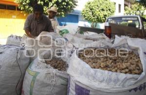 COMERCIALIZACIÓN DE CACAHUATE . ACATLÁN DE OSORIO