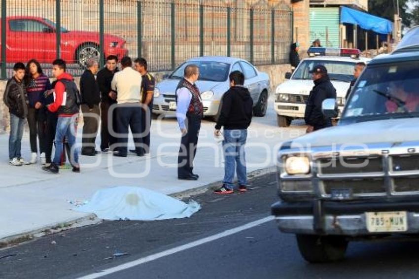 ATROPELLADO VIA CORTA A SANTA ANA