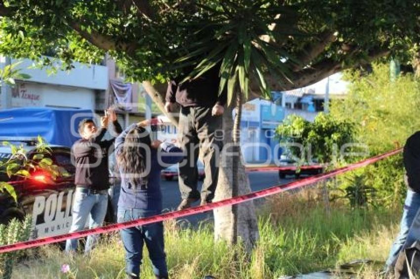 SUICIDIO PARQUE ECOLÓGICO