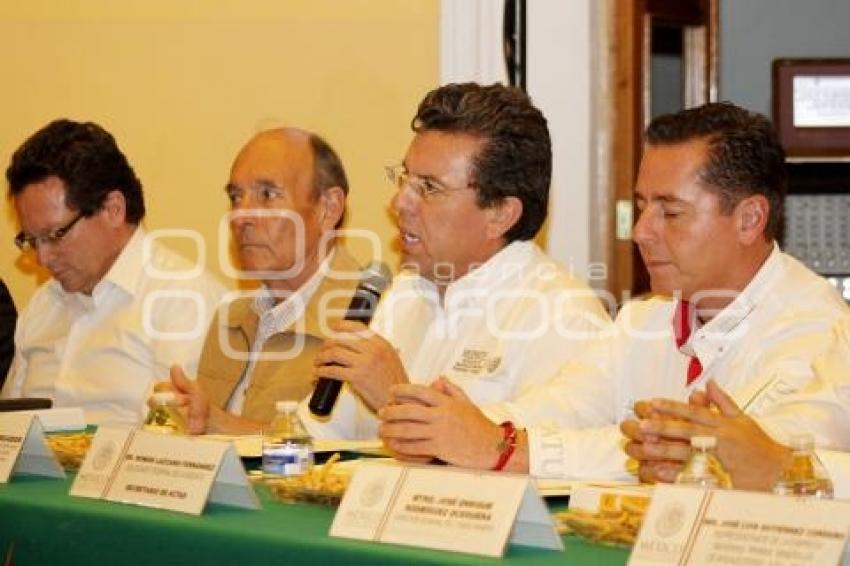 COMITÉ DE DESARROLLO REGIONAL