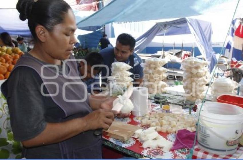 VENTA DE CAÑA DE AZÚCAR Y JÍCAMA . ACATLÁN   