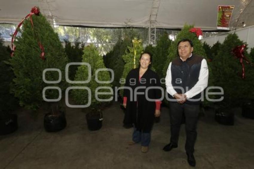 EXPO NAVIDEÑA