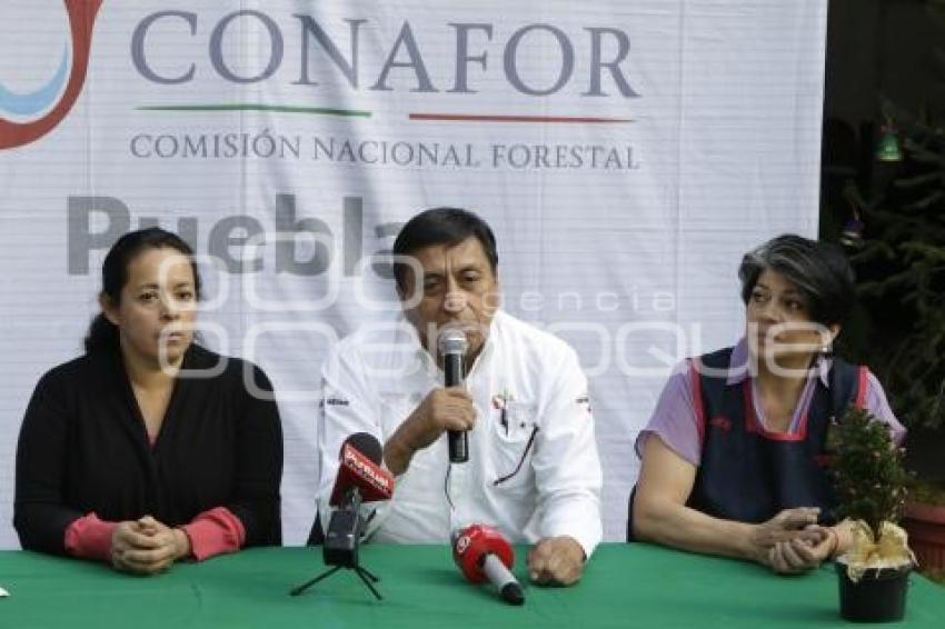 EXPO NAVIDEÑA