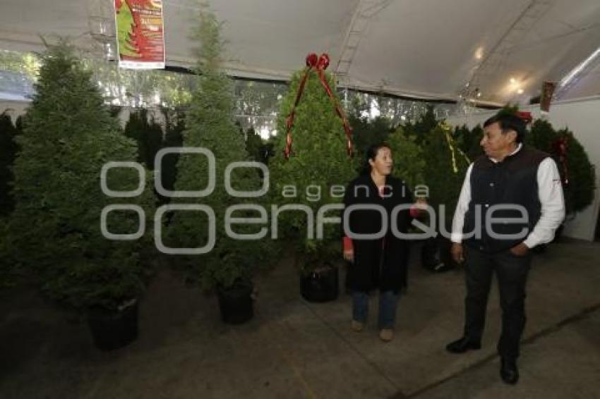 EXPO NAVIDEÑA