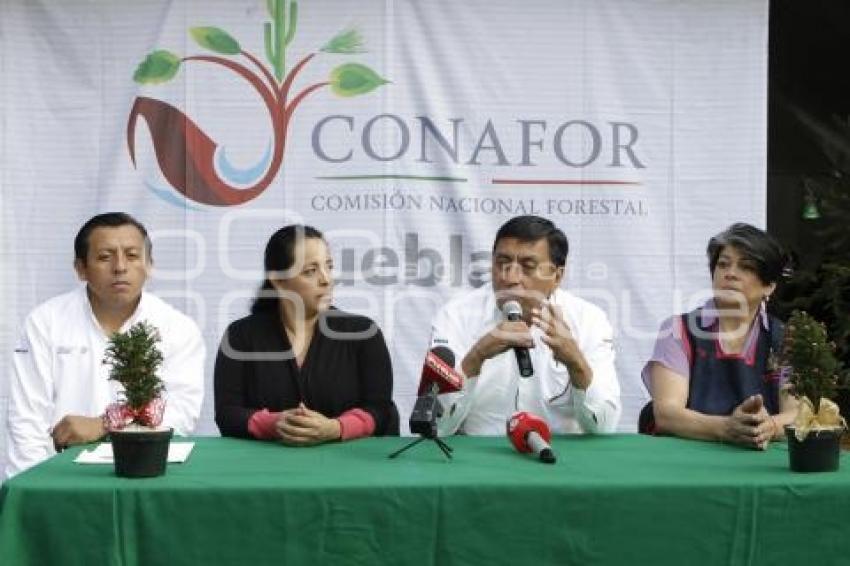 EXPO NAVIDEÑA