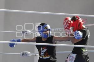 CAMPEONATO NACIONAL ARTES MARCIALES MIXTAS