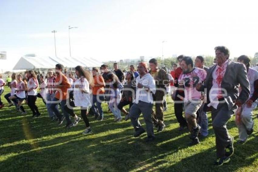 ZOMBIELAND RUN