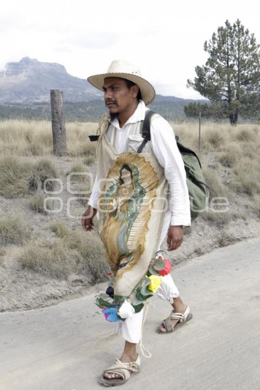 PEREGRINOS A LA BÁSILICA