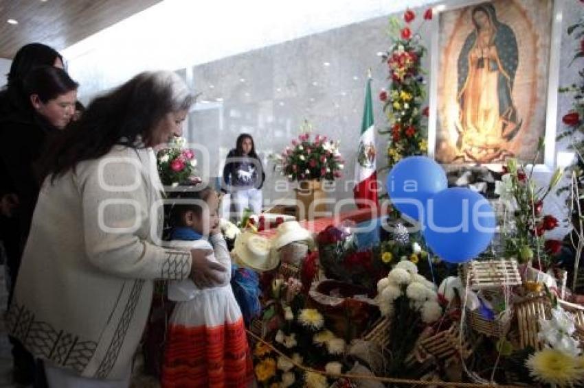 VIRGEN DE GUADALUPE . SEMINARIO PALAFOXIANO